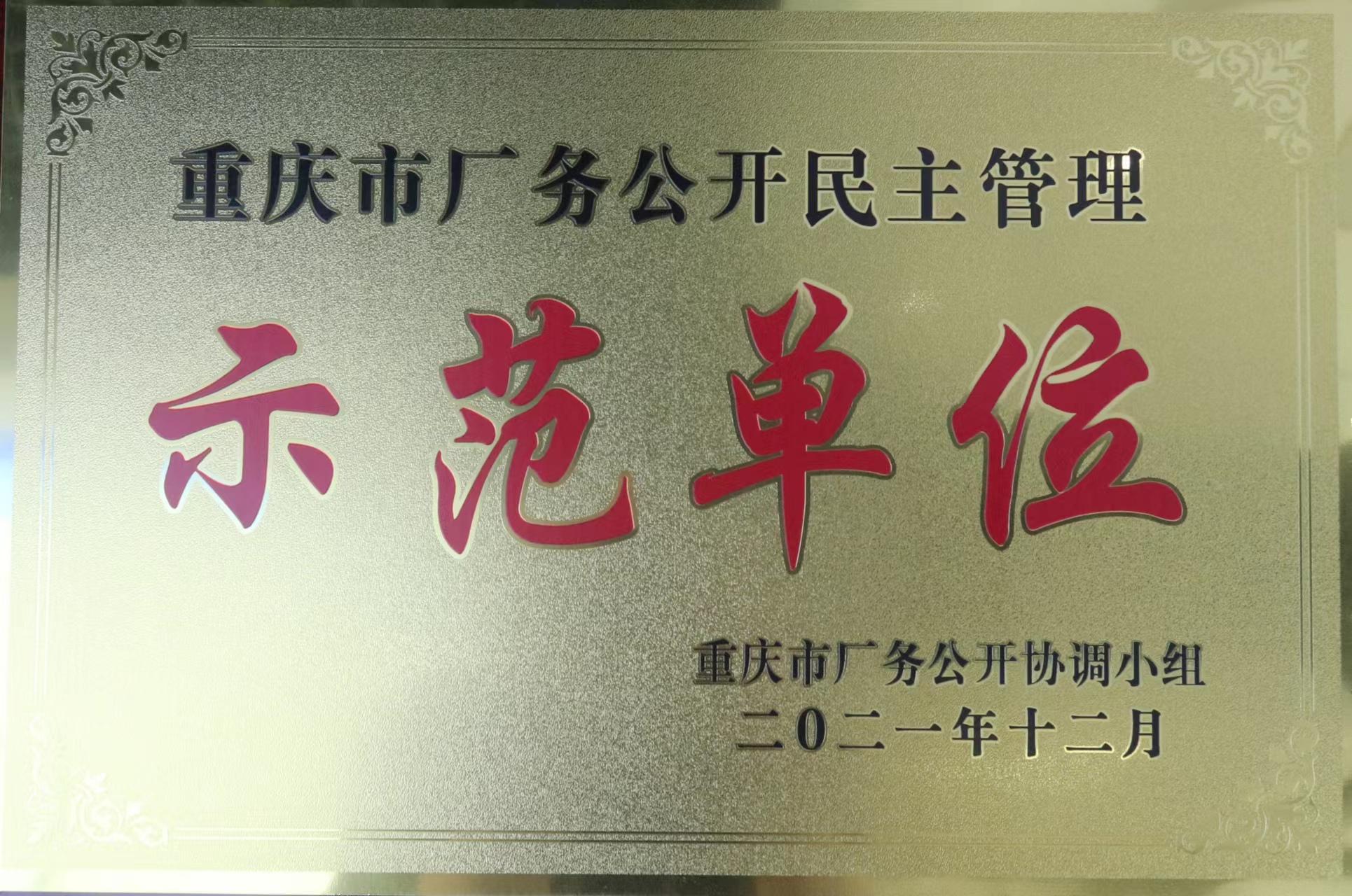 重庆市厂务公开民主管理示范单位