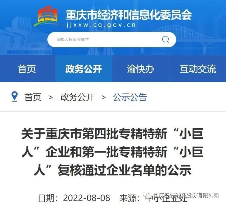 重庆三磊：入选重庆市第四批专精特新“小巨人”企业公示名单